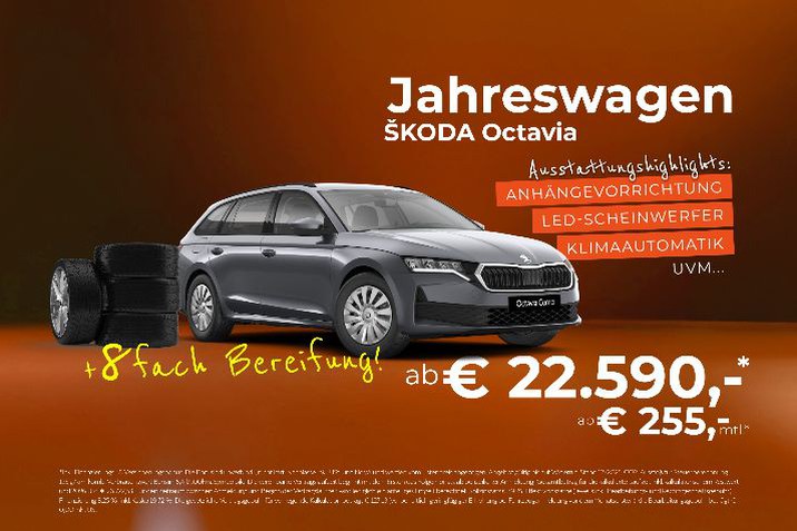 Skoda Jahreswagen Aktion