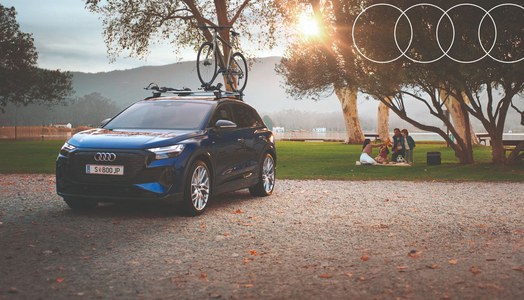 Audi Service Frühjahr 2025